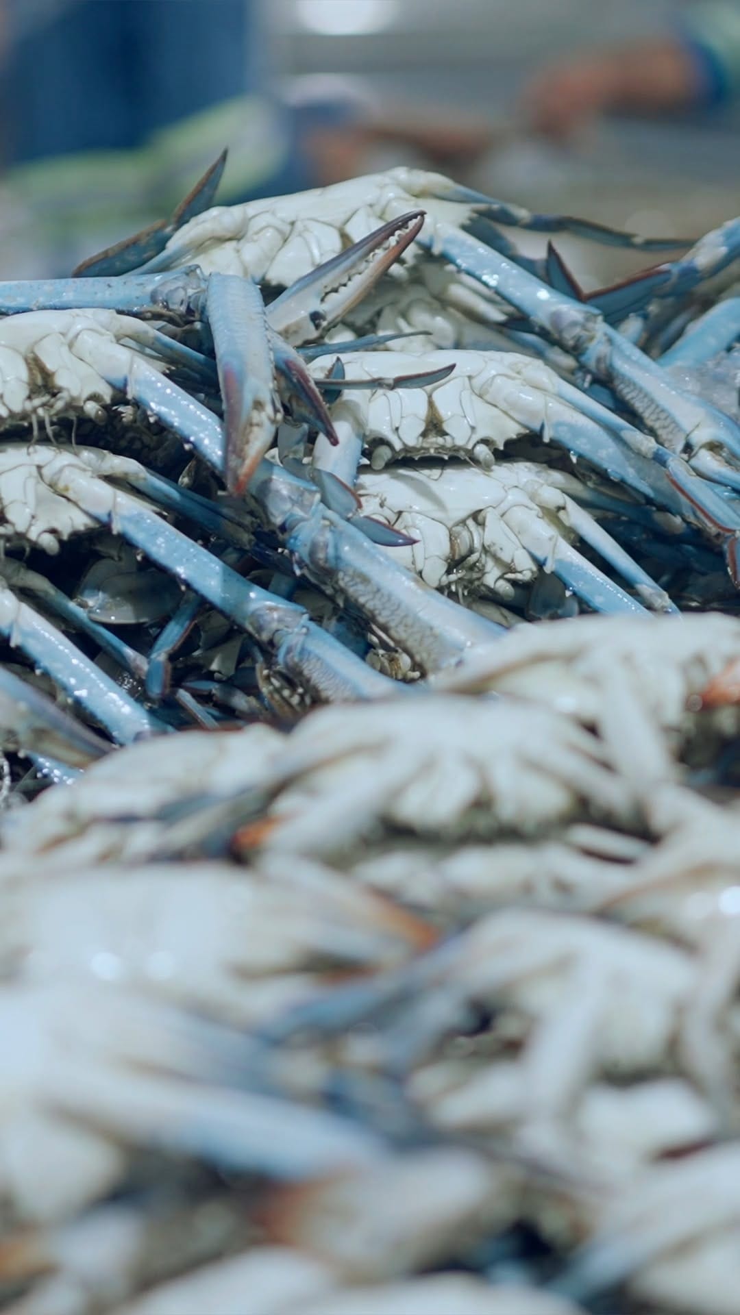 Post 1 by Waterfront Market on Instagram (video)