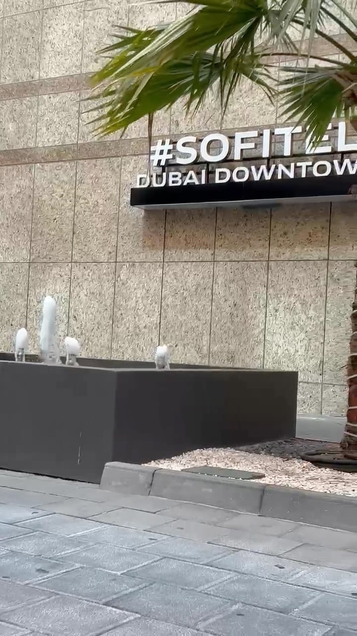Post 3 by DUBAI LUXURY  CAR RENTAL | CRYPTO BITOC #DUBAI AUTOMOBILE on Instagram (video)