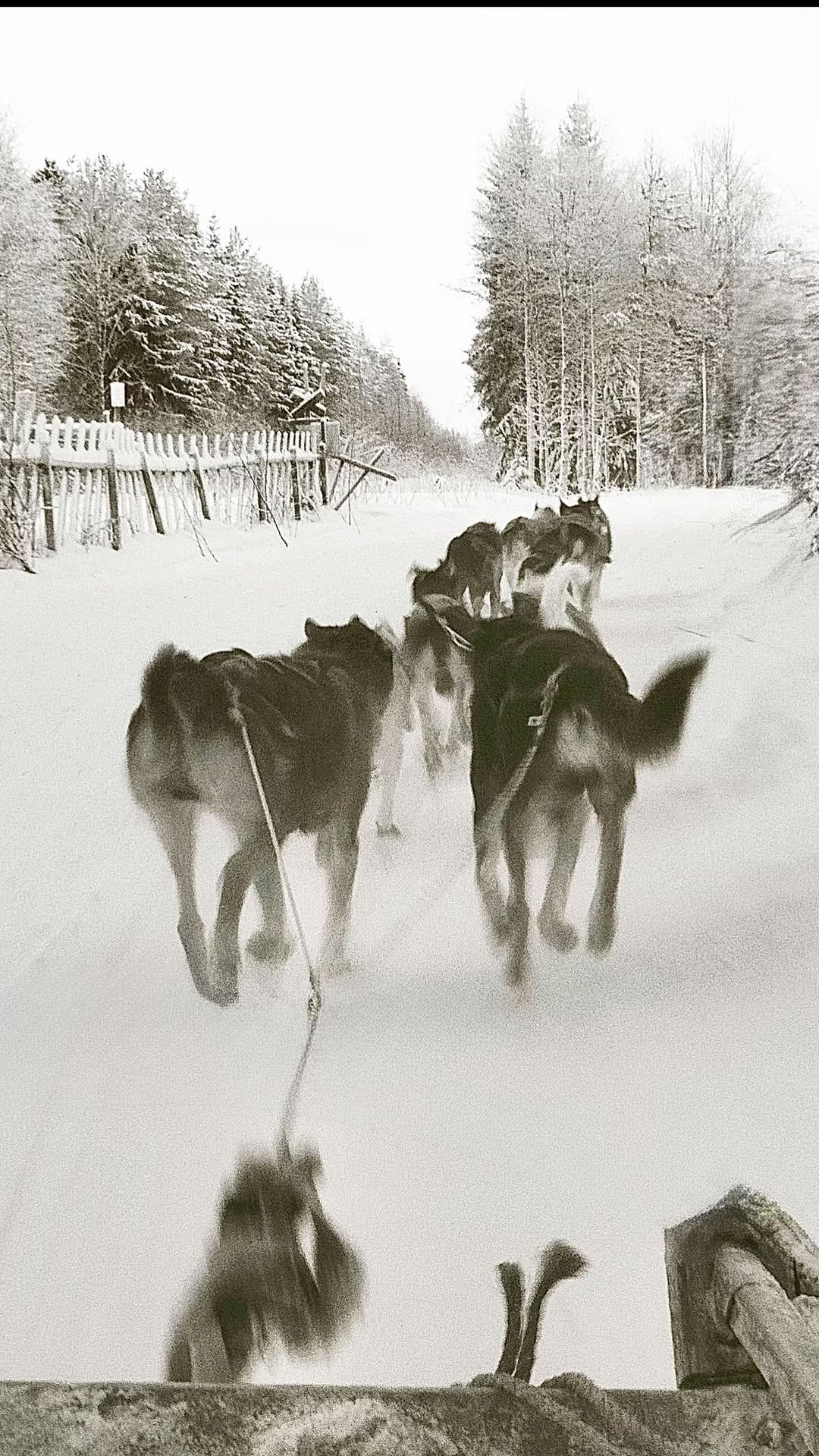 Post 4 by Odette Campbell on Instagram (video)