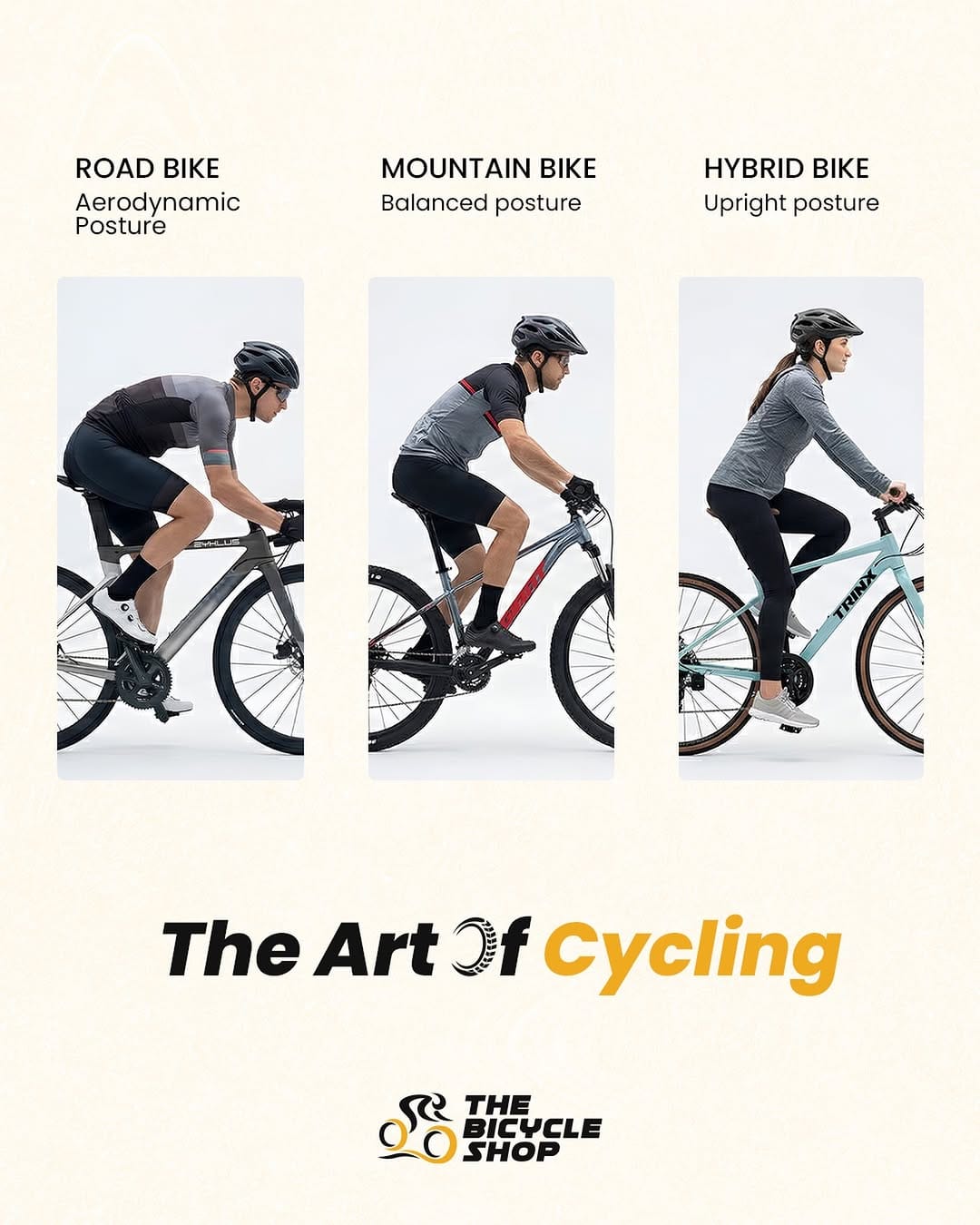 Post 2 by The Bicycle Shop on Instagram (image)