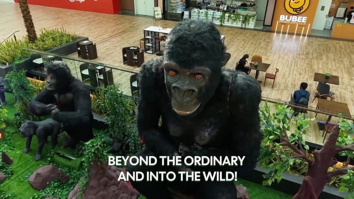 Post 8 by Sahara Centre on Instagram (video)