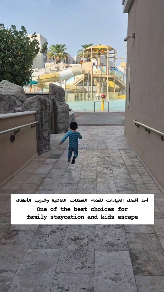 Post 8 by Maha Falaknaz on Instagram (video)