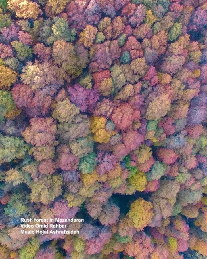 Post 5 by Omid Rahbar  امید رهبر on Instagram (video)