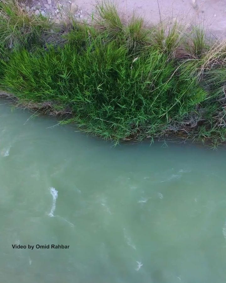 Post 7 by Omid Rahbar  امید رهبر on Instagram (video)