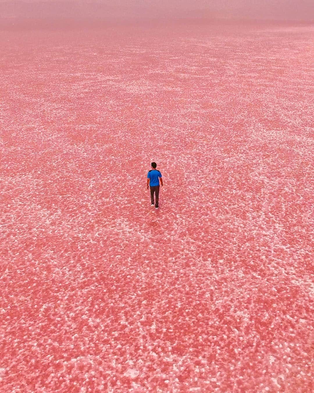 Post 9 by Omid Rahbar  امید رهبر on Instagram (image)