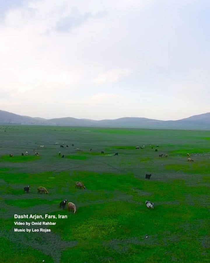 Post 6 by Omid Rahbar  امید رهبر on Instagram (video)