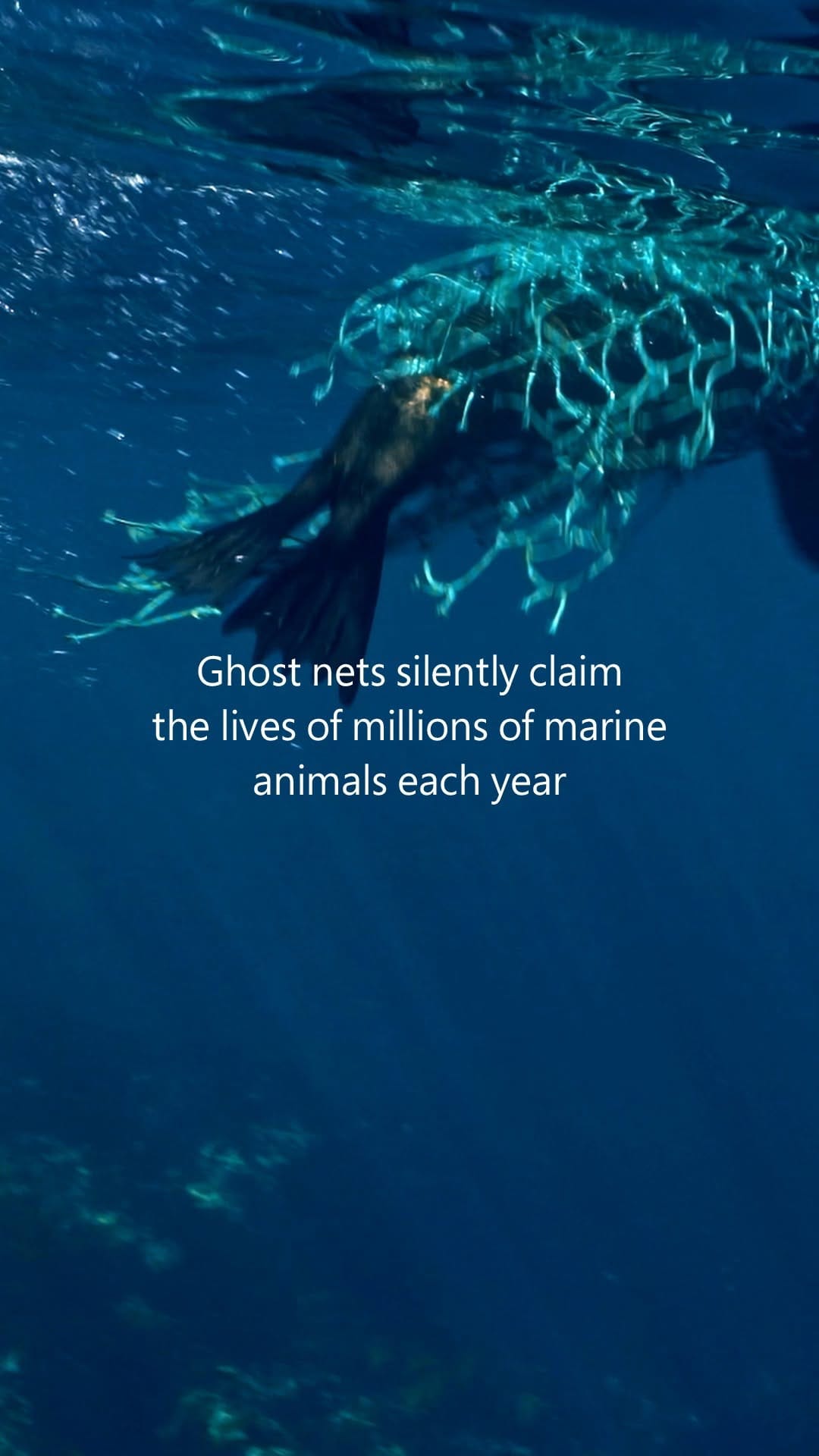 Post 9 by Microsoft UAE on Instagram (video)