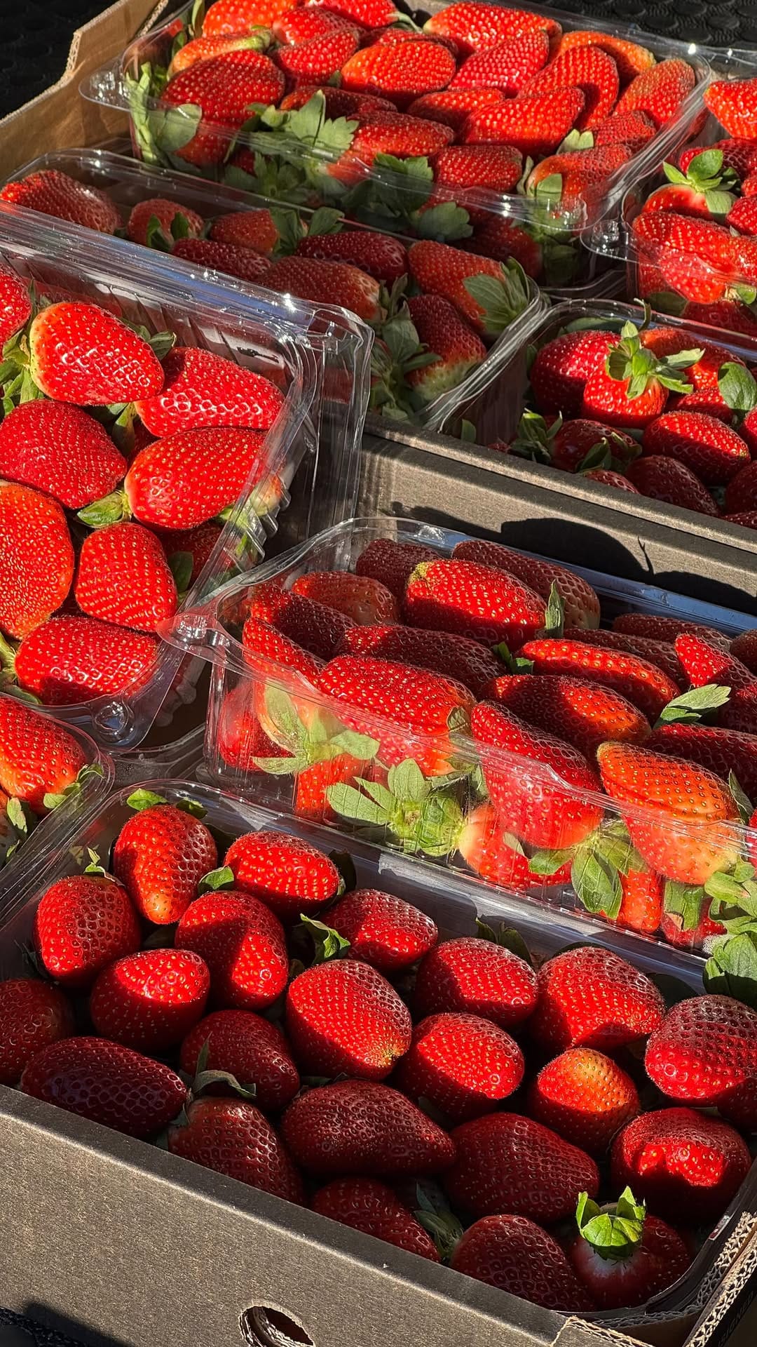 Post 2 by Perth Chocolate Covered Strawberries on Instagram (video)