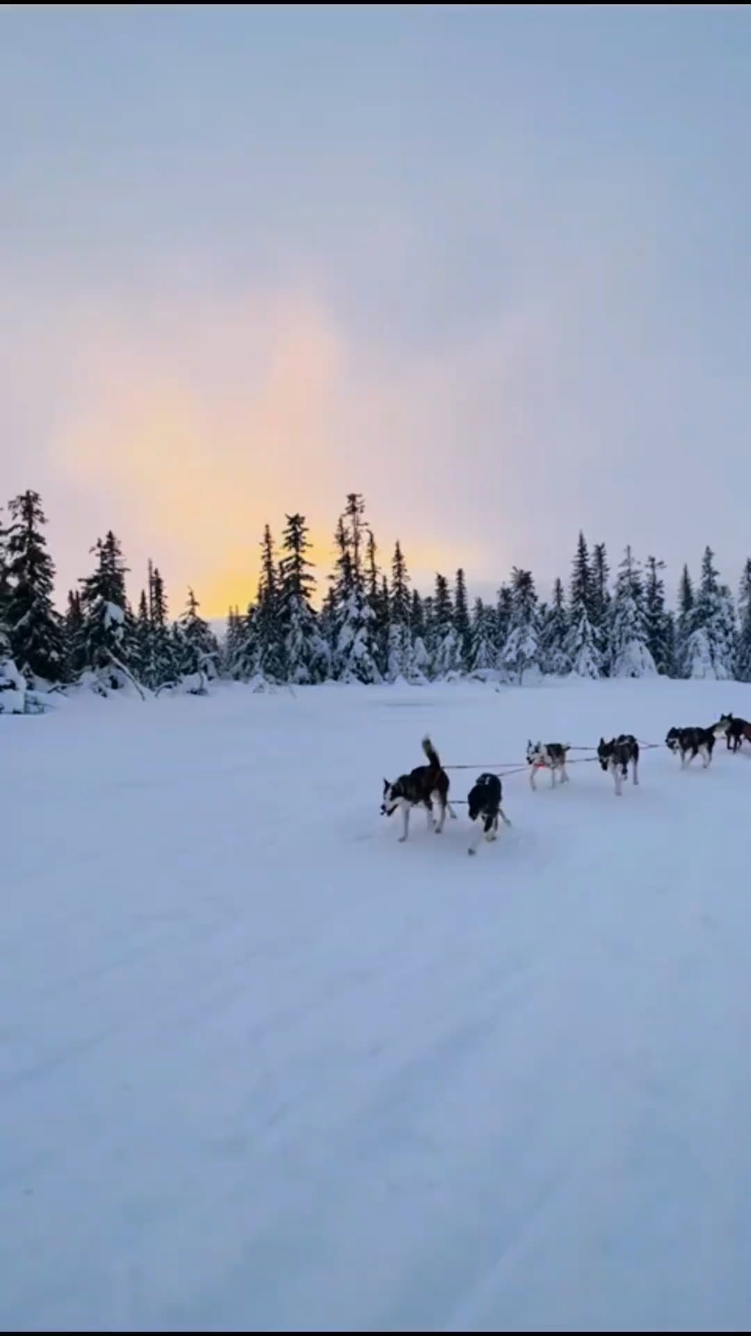 Post 9 by Jordan Hunty on Instagram (video)