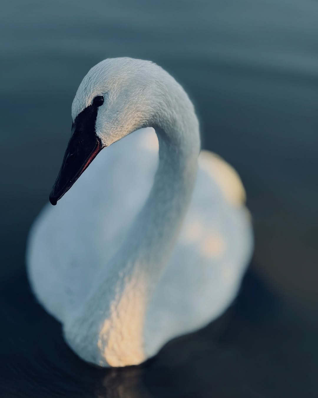Post 3 by Mohamed Ameen on Instagram (image)