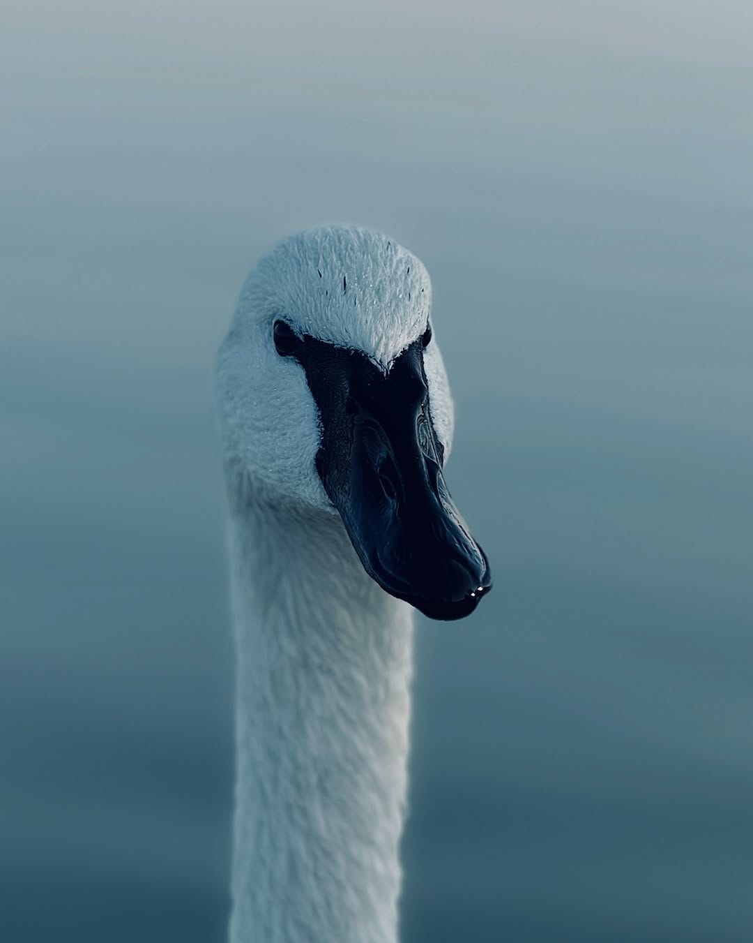 Post 1 by Mohamed Ameen on Instagram (carousel)
