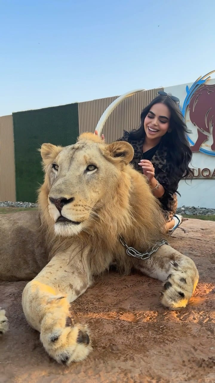 Post 10 by Sarah Othman | سارة عثمان on Instagram (video)