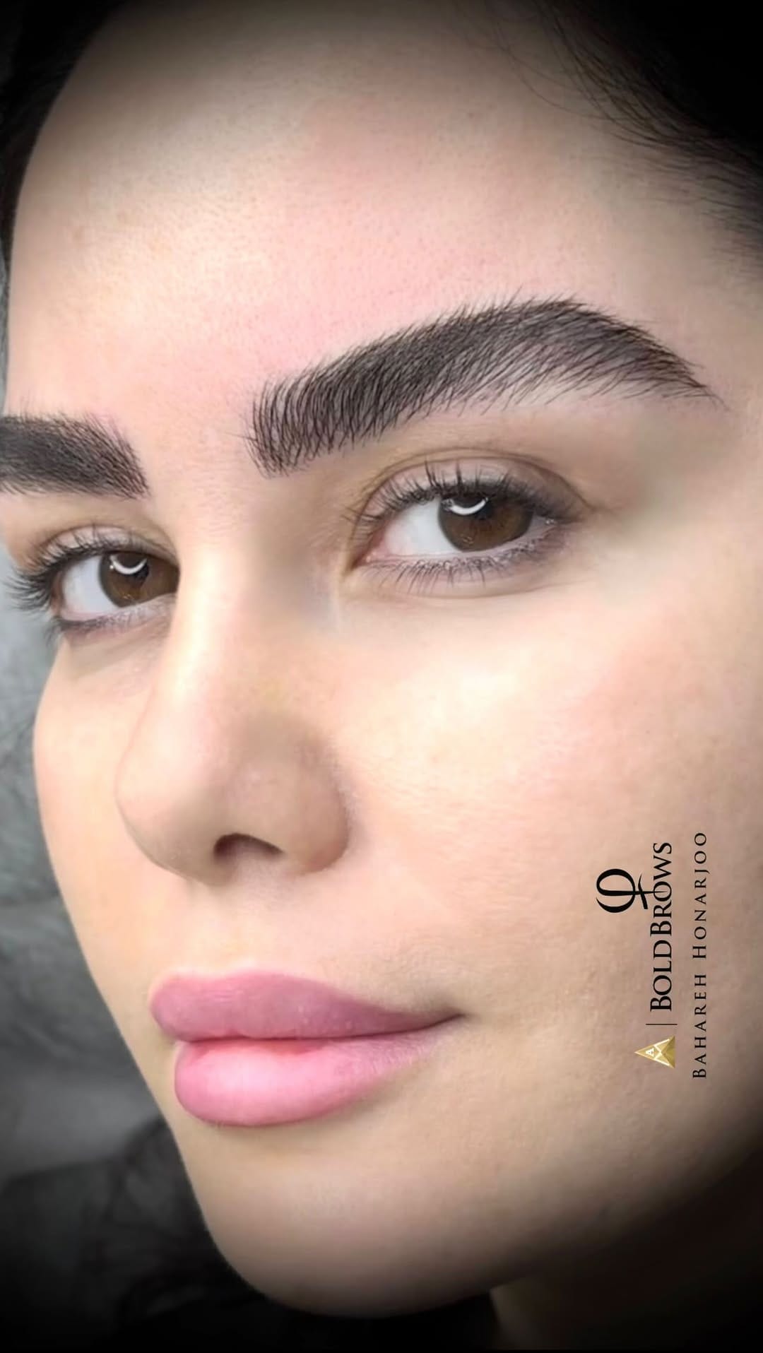 Post 8 by Bahareh Honarjoo on Instagram (video)