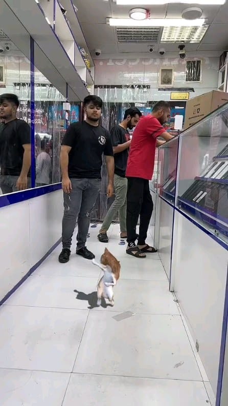 Post 8 by Ghulam Murtaza on Instagram (video)
