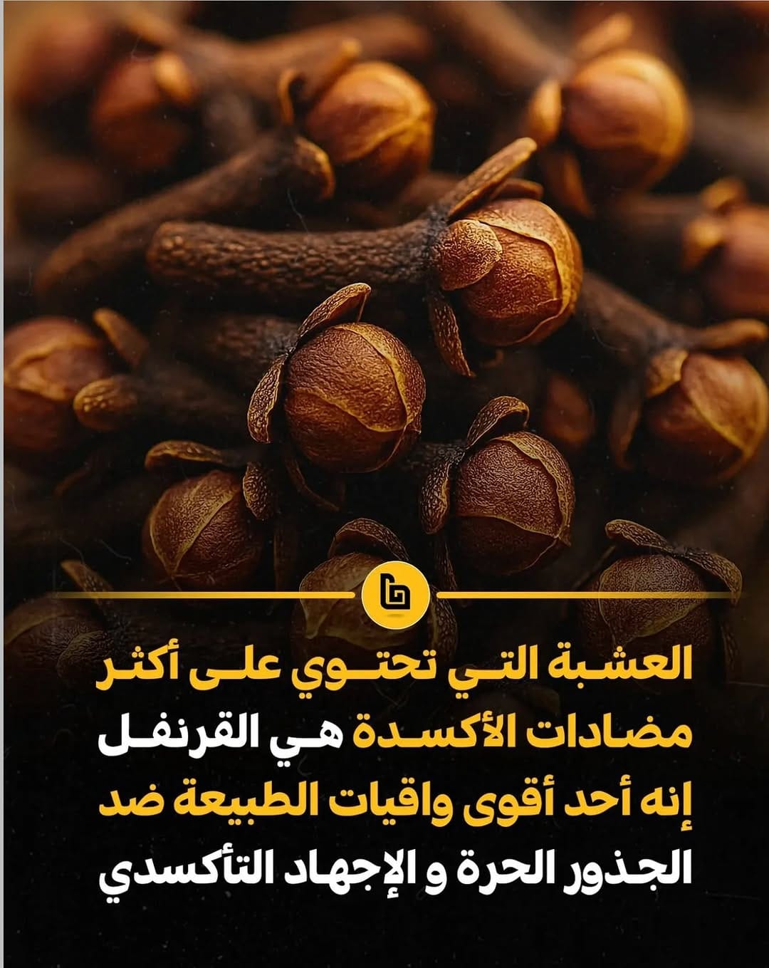 Post 8 by حساب خاص لعرض صور الحناء on Instagram (carousel)