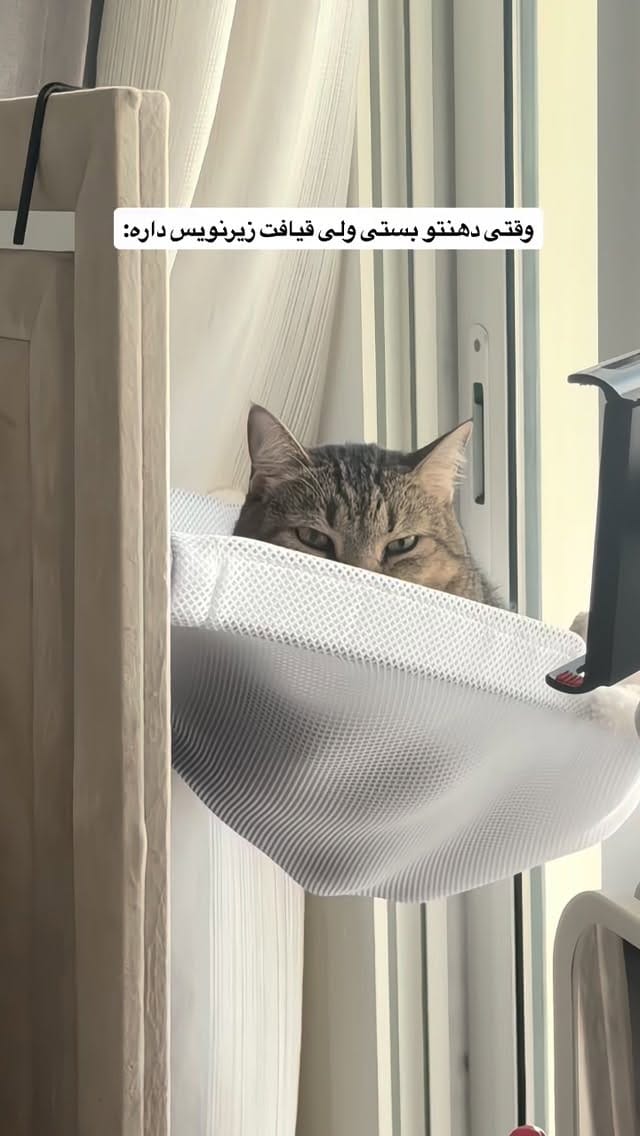 Post 1 by Nooshin ali on Instagram (video)