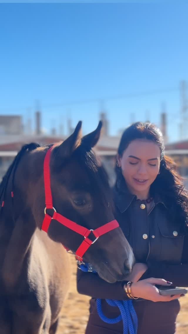 Post 7 by الما الحمزة on Instagram (video)