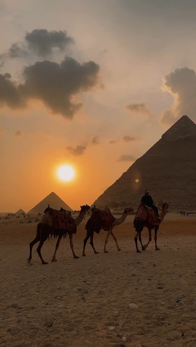 Post 9 by Vineesha D’costa | CREATOR on Instagram (video)