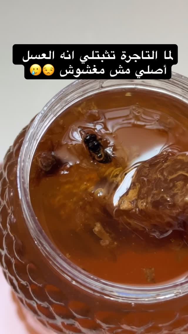 Post 6 by ᗩᒪᗩᗩ ᗴᒪTOᗰᗩ ❤︎ آلاء التومه on Instagram (video)