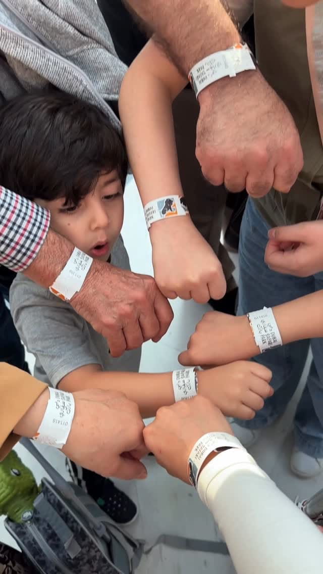 Post 1 by Duaa Kassoumeh . دعاء قسومه on Instagram (video)