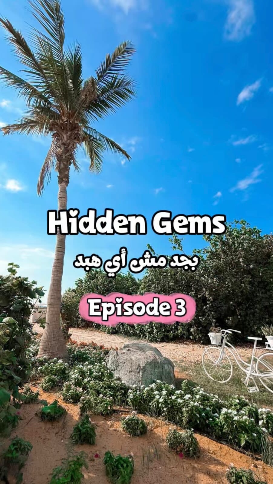 Post 1 by Yasmina Zaalouk ياسمينا زعلوك on Instagram (video)