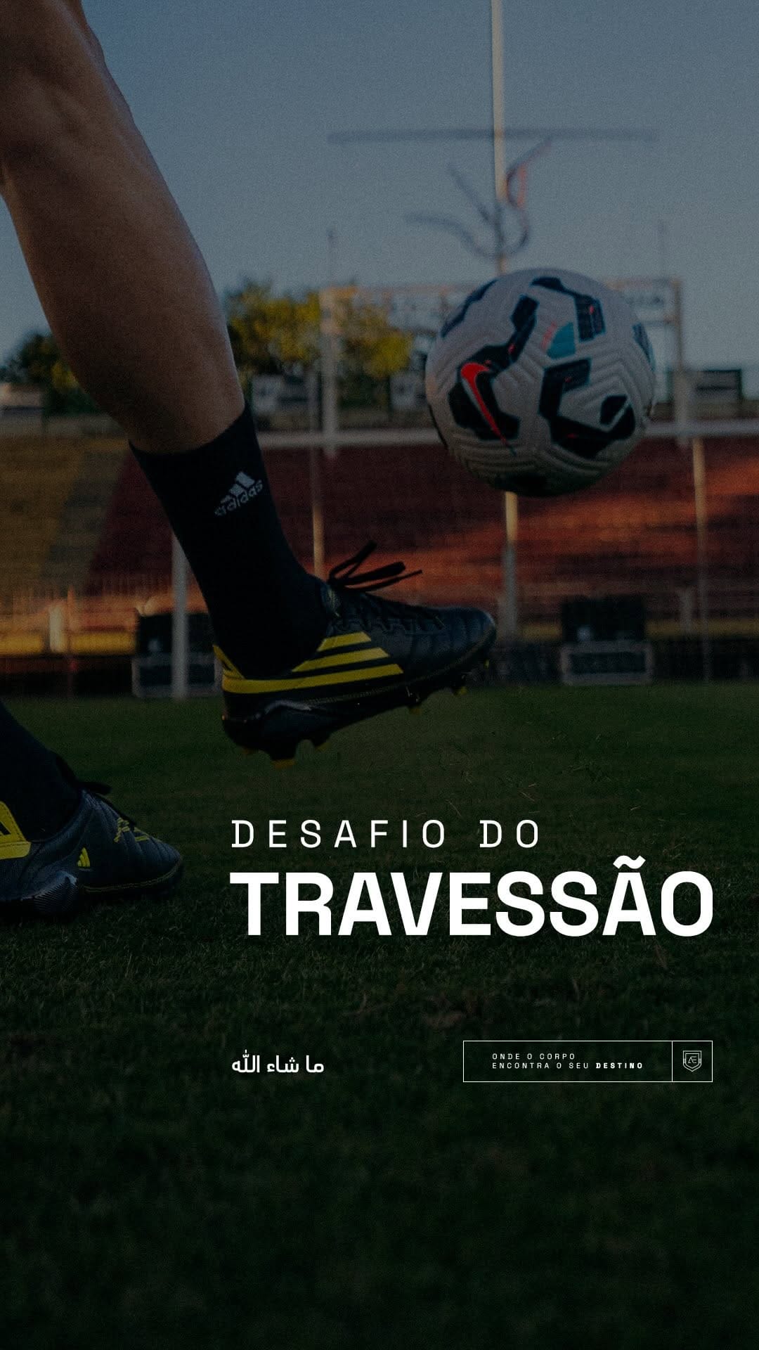 Post 4 by Caio Canedo on Instagram (video)