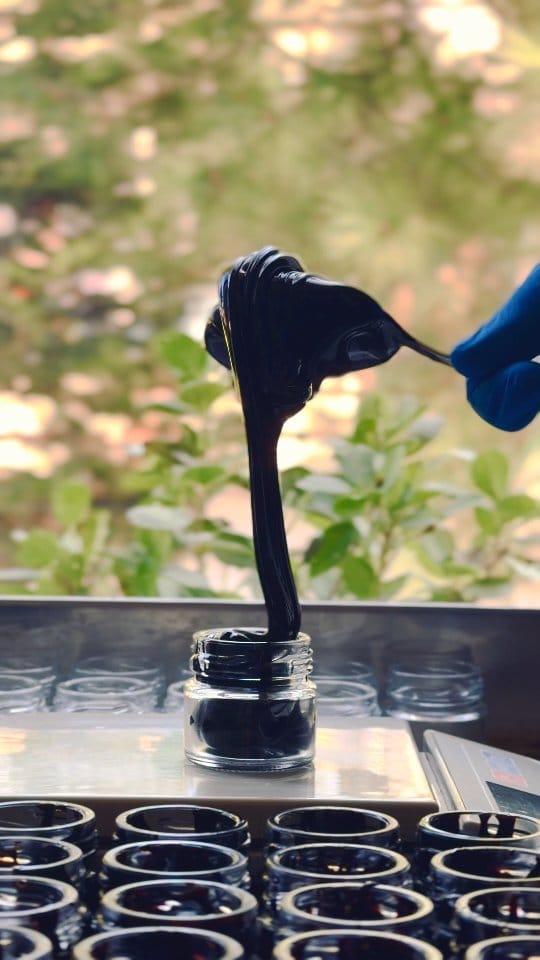 Post 6 by Himalayan Shilajit on Instagram (video)
