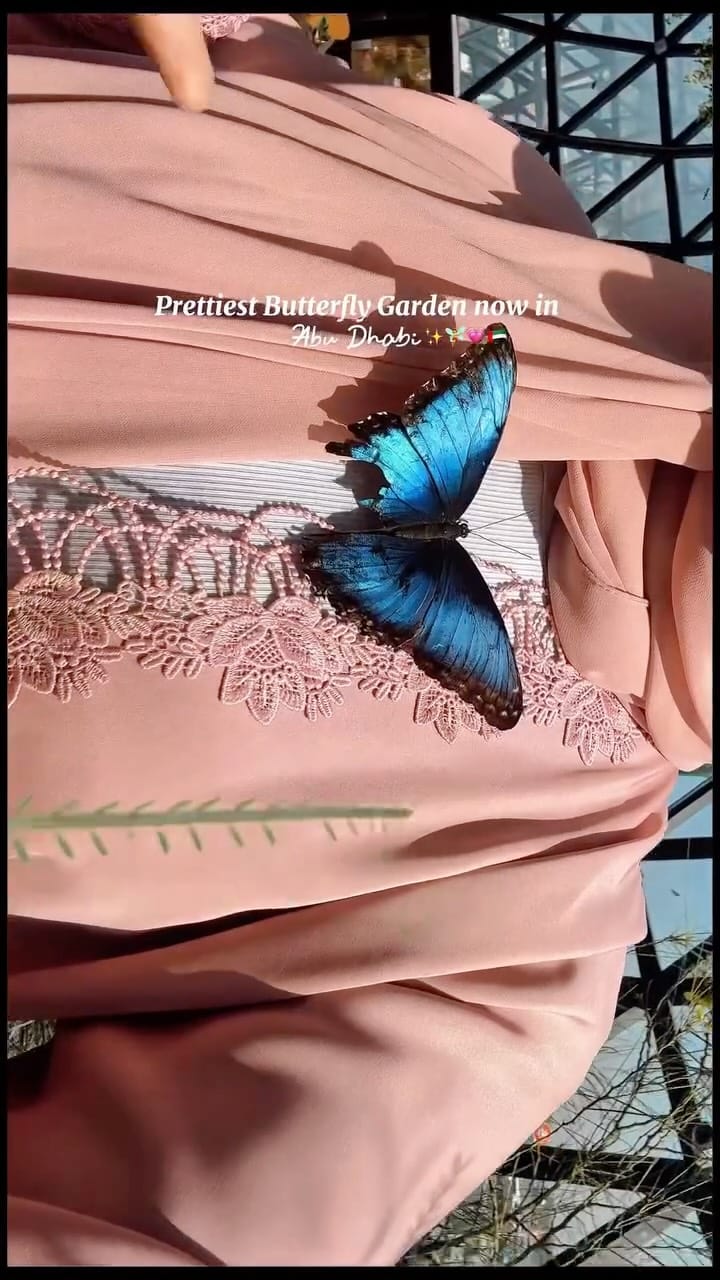 Post 8 by Al Qana on Instagram (video)