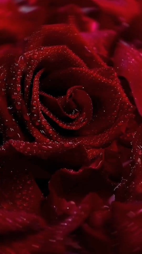 Post 1 by رسايل عود للعطور-  Rasayel Oud Perfume on Instagram (video)