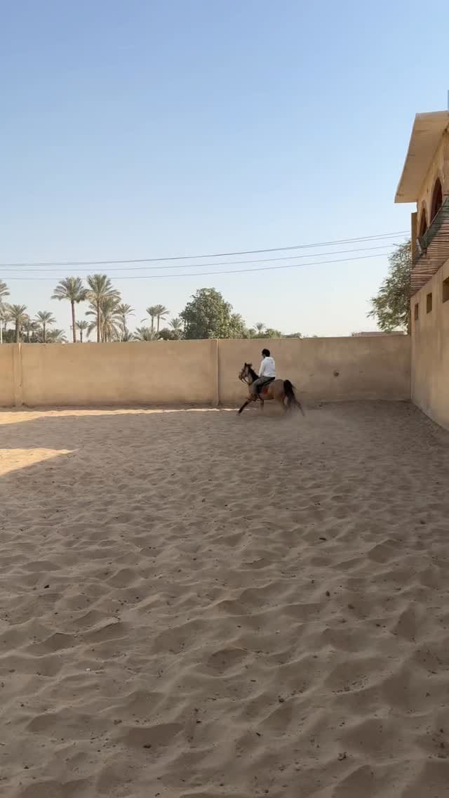 Post 5 by HASHASH | FIGHTING | SKYDIVING | OFFROAD | STUNT | on Instagram (video)