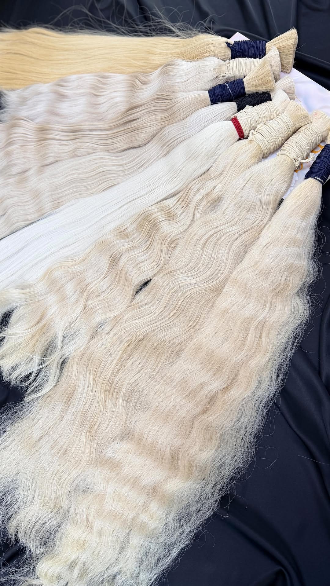 Post 6 by Sanaz Chamandeh on Instagram (video)