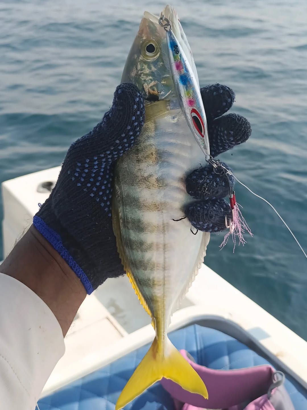 Post 1 by Sea Shore Marine - Abu Dhabi on Instagram (carousel)
