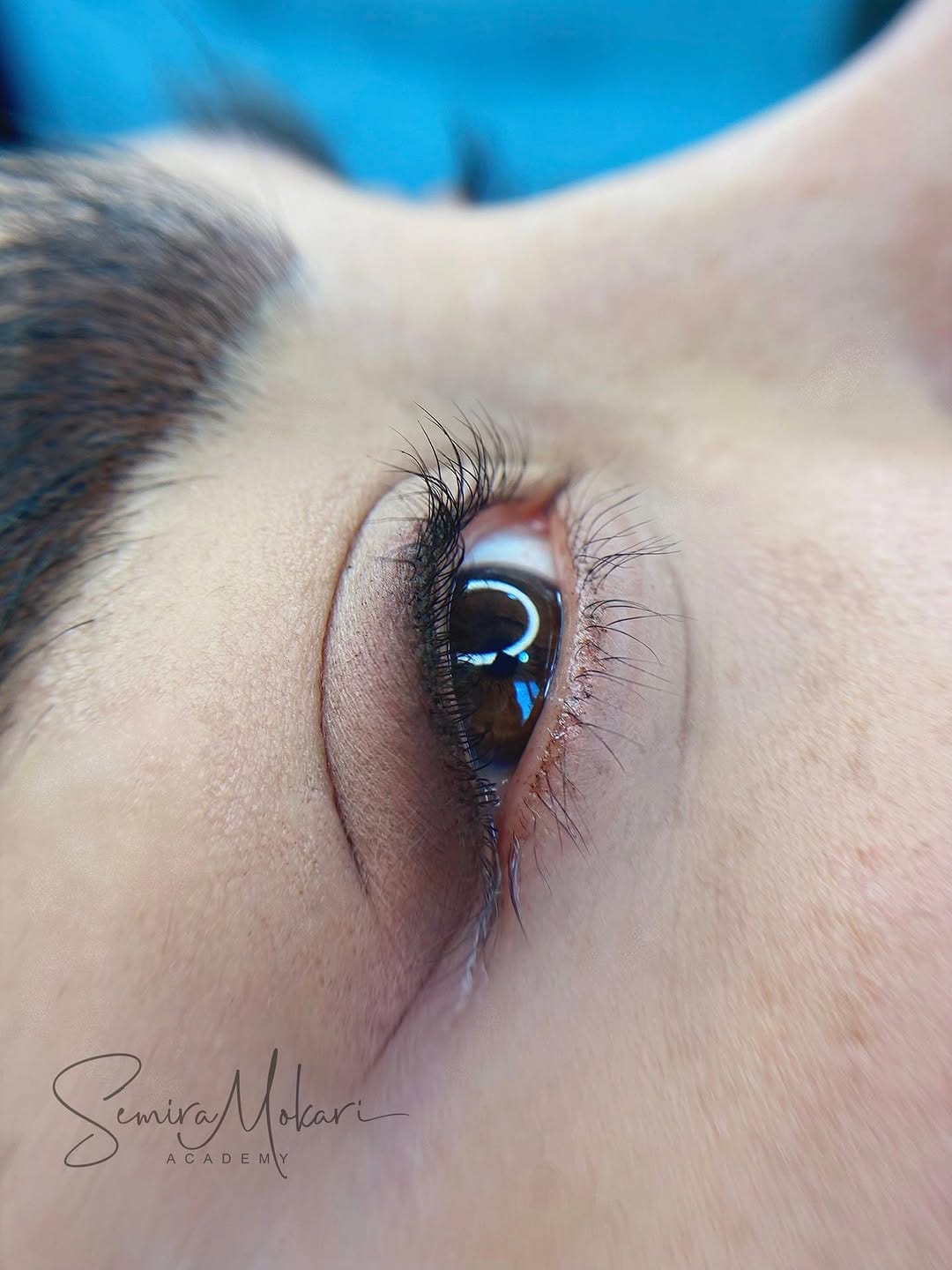 Post 4 by Samira Mokari on Instagram (image)