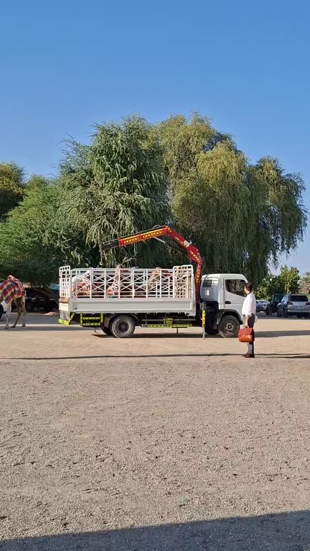 Post 9 by Aw tourism UAE on Instagram (video)