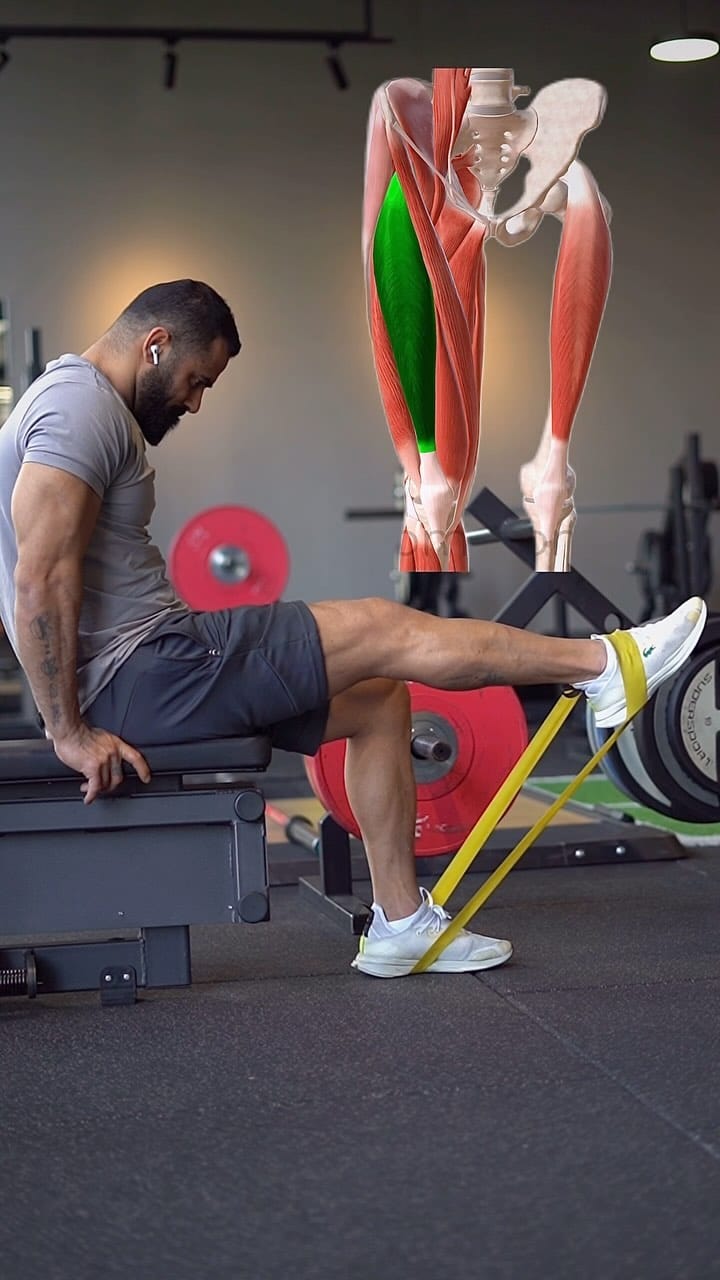 Post 8 by Amin Hashemi on Instagram (video)