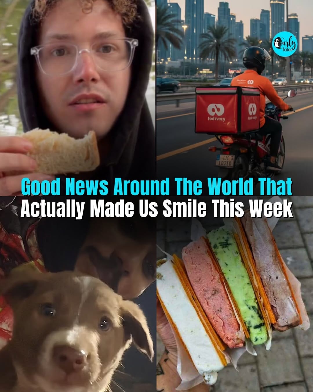 Post 5 by Curly Tales Middle East | A Fork Media Group Co. on Instagram (carousel)