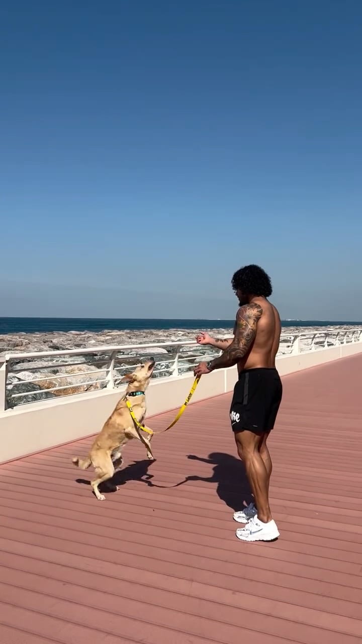 Post 1 by Jordy Jahmal  |  Road To Pro IFBB 🌐 on Instagram (video)