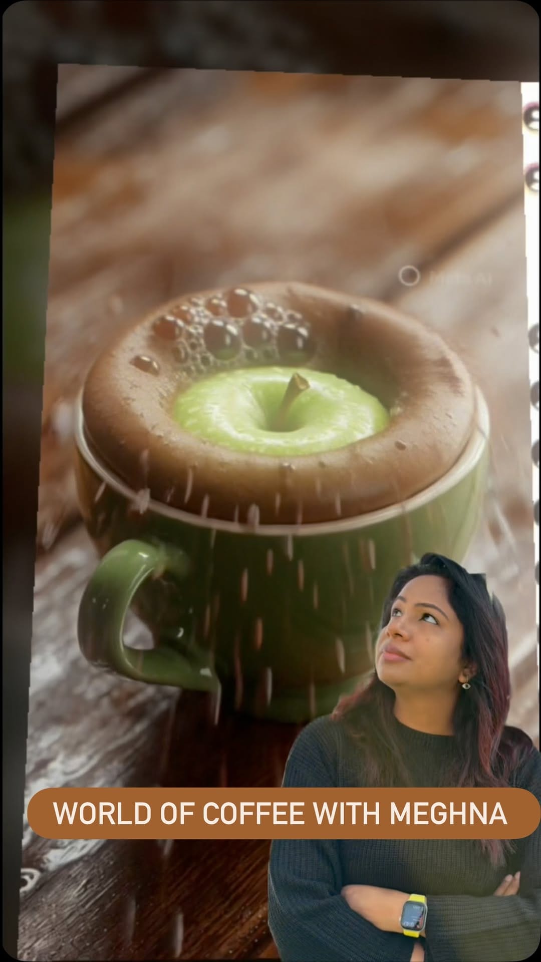 Post 4 by Meghna Dixit on Instagram (video)
