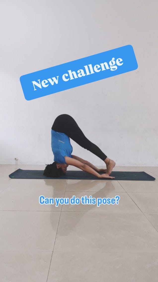 Post 4 by Chandni Prashant Mehta on Instagram (video)