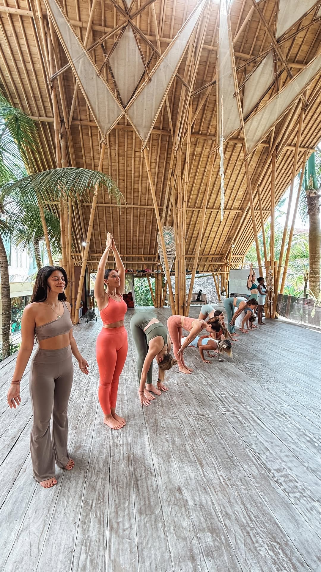 Post 9 by Yoga & Meditation YTT | House of Om (Bali • India • Thailand) on Instagram (video)