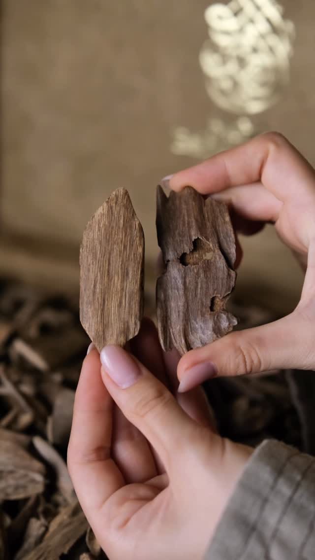 Post 9 by MOHD BALHOWAIMIL PERFUMES on Instagram (video)