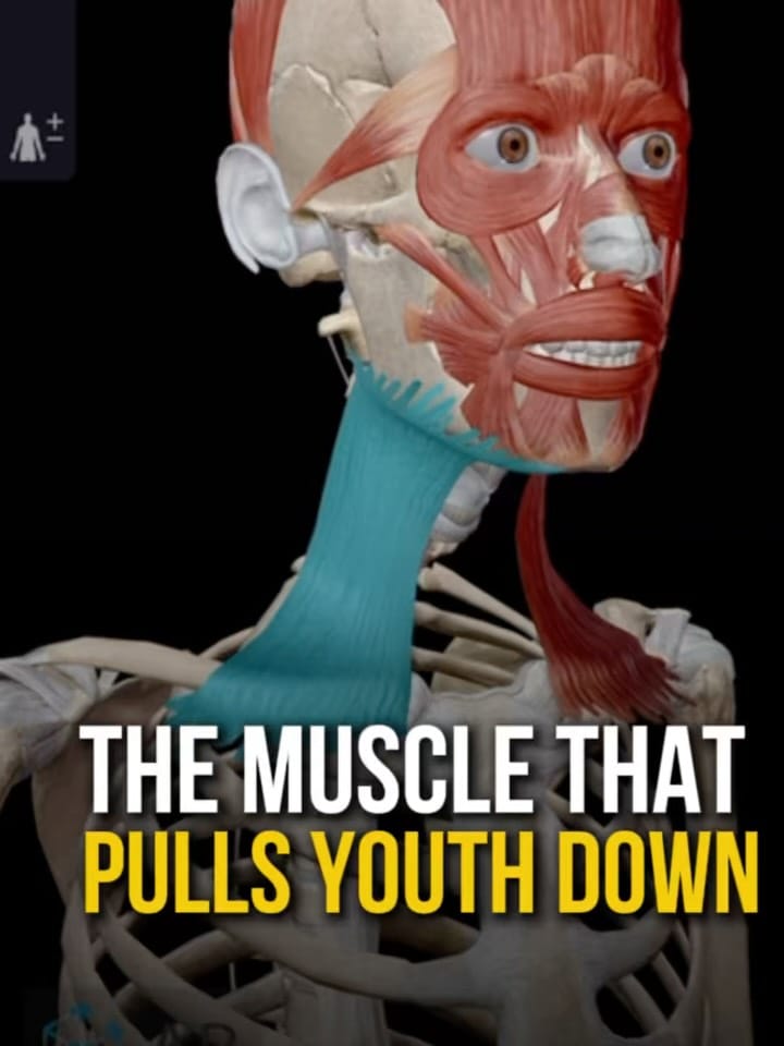 Post 6 by Dr Ales Ulishchenko MD PhD - Integrative Doctor|Osteopath|Healer on Instagram (carousel)