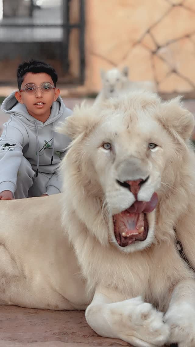 Post 10 by Maktoum Saif Alqamti || مكتوم سيف القامتي on Instagram (video)