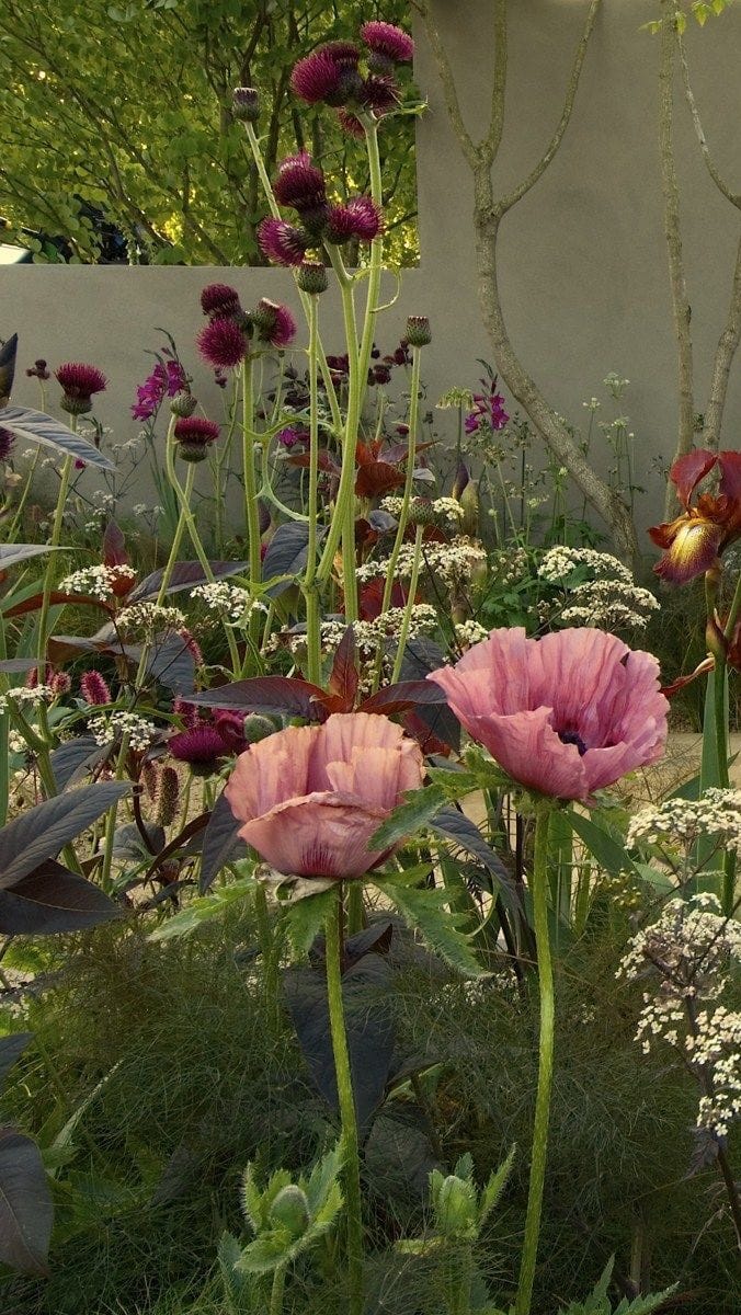 Post 10 by Zainab Khan Mirza 🍄 on Instagram (video)