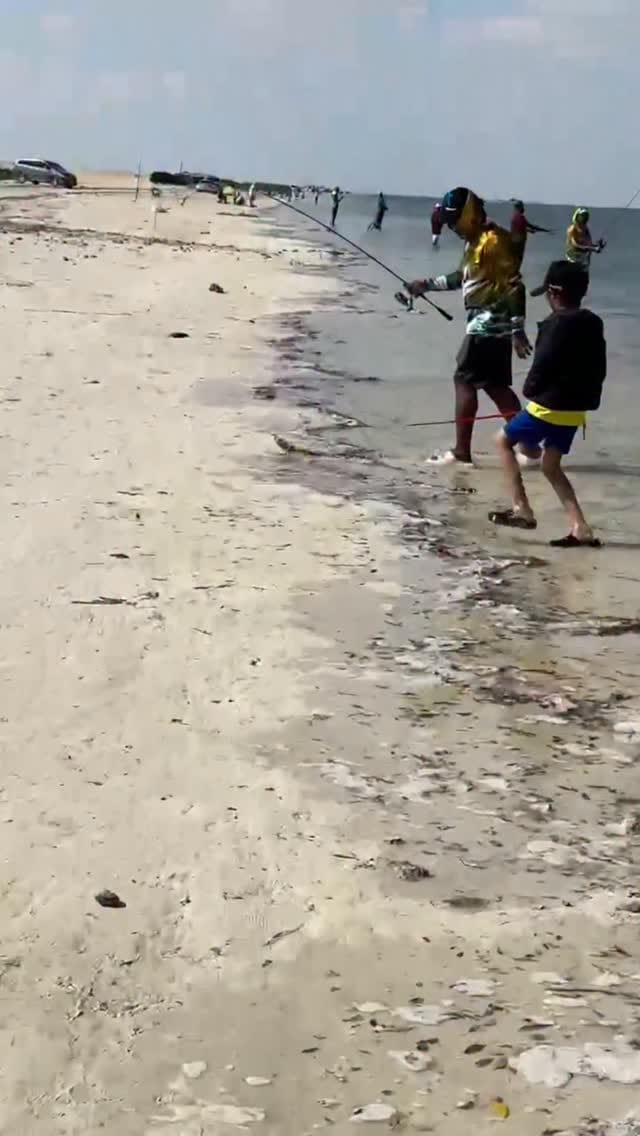 Post 1 by Jighead.ae on Instagram (video)