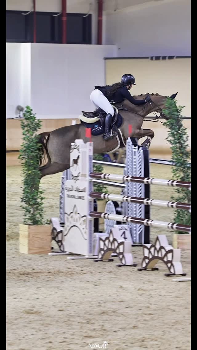 Post 1 by Alya Bin Mes'har AlMheiri on Instagram (video)