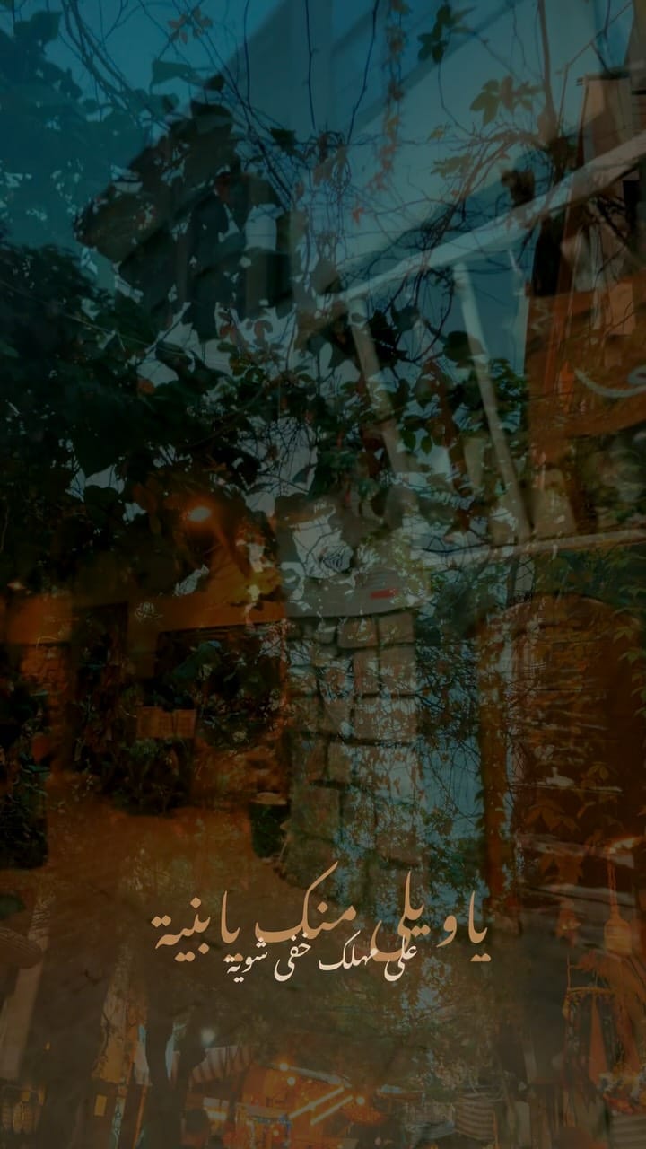 Post 8 by Noor on Instagram (video)