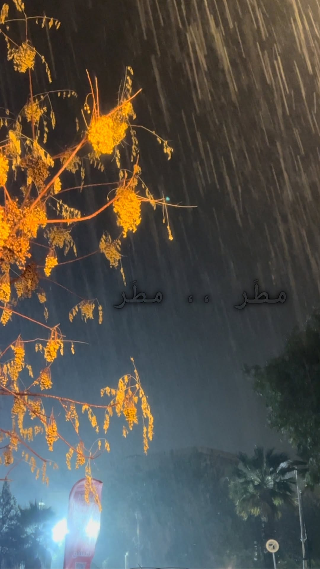 Post 2 by Noor on Instagram (video)