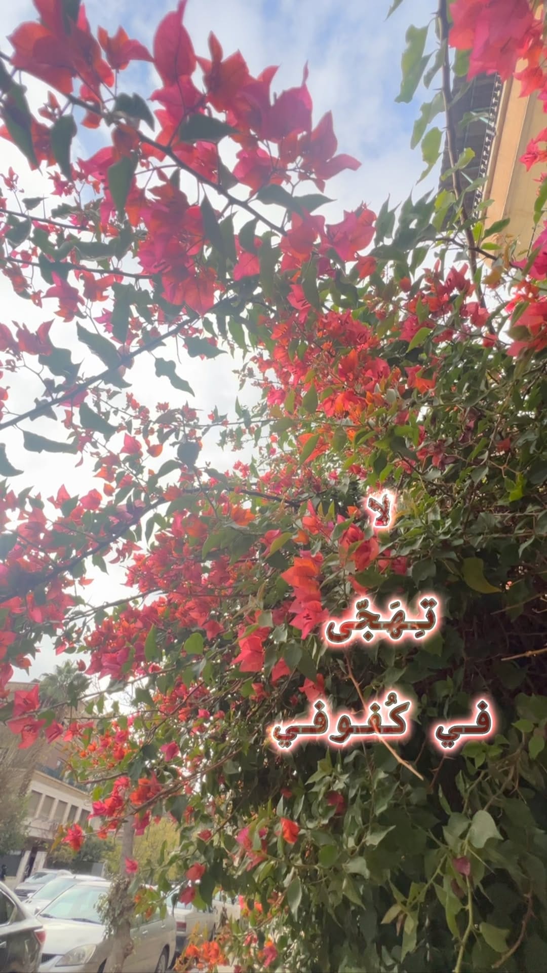 Post 5 by Noor on Instagram (video)