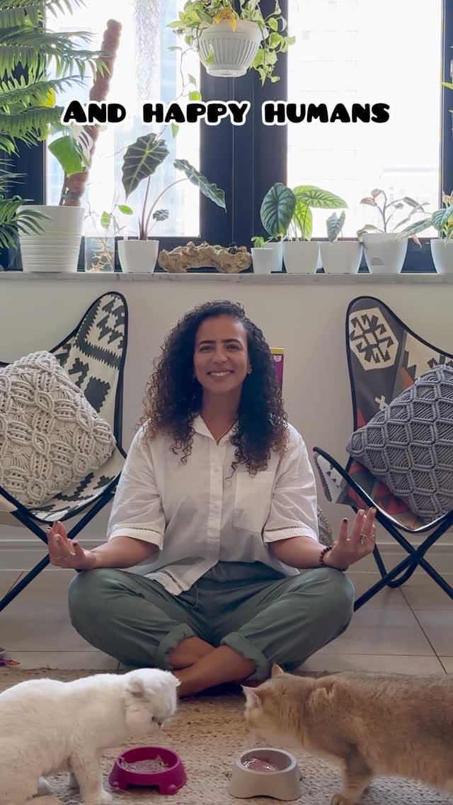 Post 3 by 𝒉𝒂𝒍𝒂 𝒌𝒓𝒖𝒏𝒛 on Instagram (video)